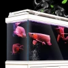 Sensun Aquarium Fish Tank Screen partition type ultra-white fish tank Double-sided ornamental fish black and white style Item Picture